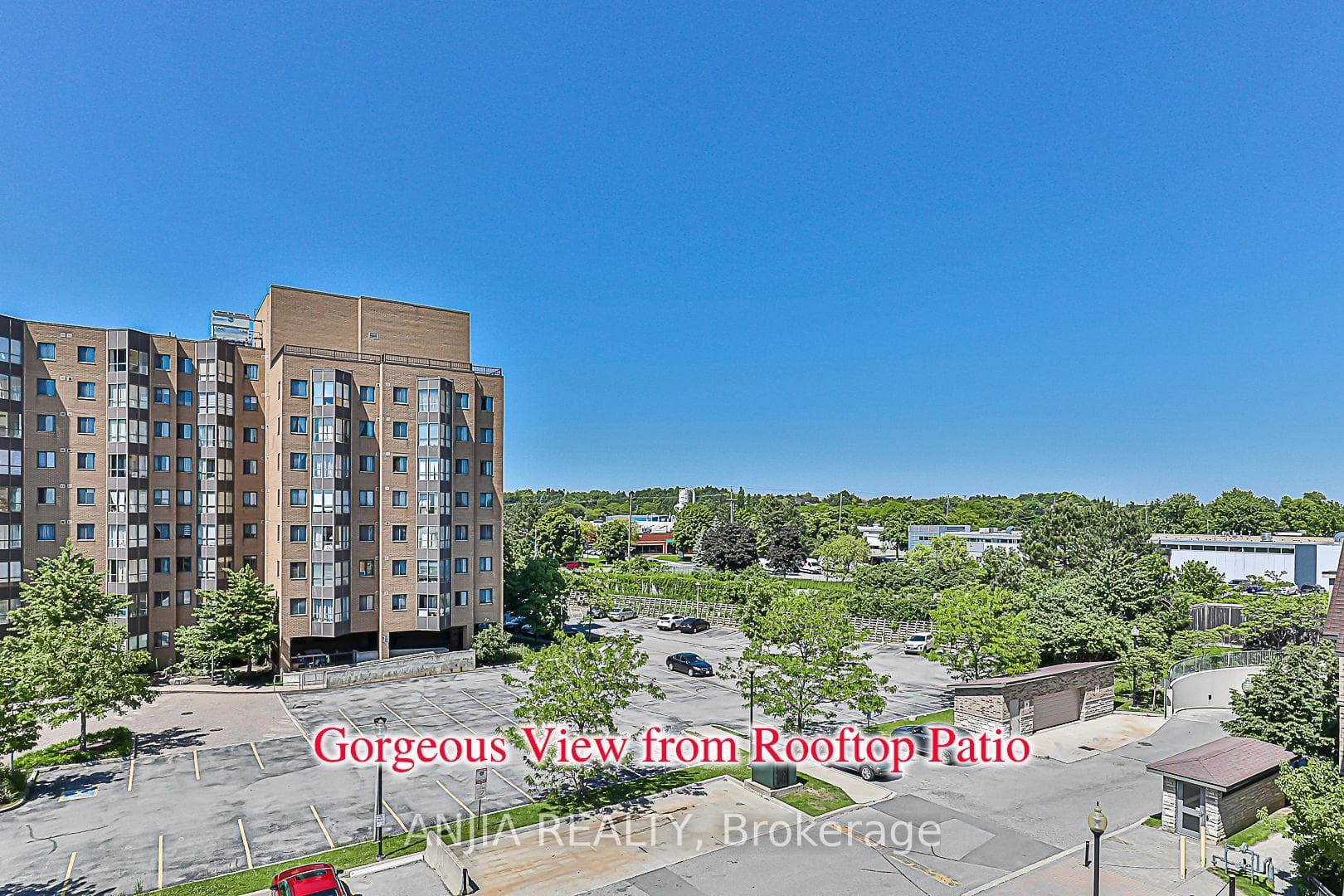 316 John Street Unit 253 photo 22