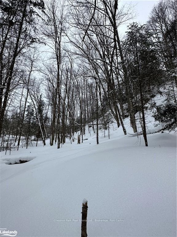 LOT 2 DWIGHT BEACH Road photo 26