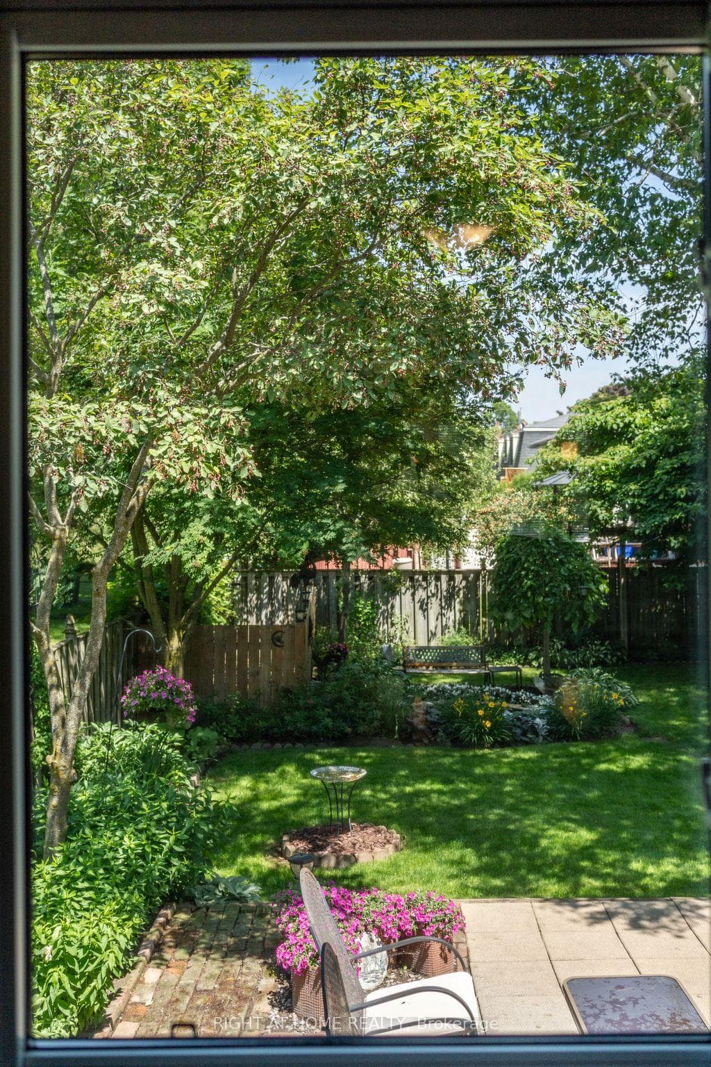 View from Dining Room