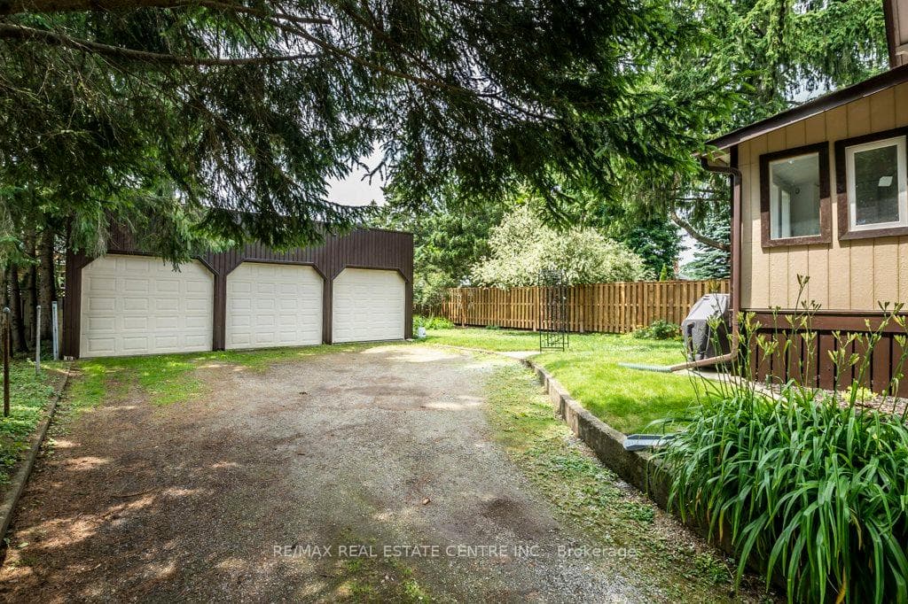 6 Chalmers Street photo 35