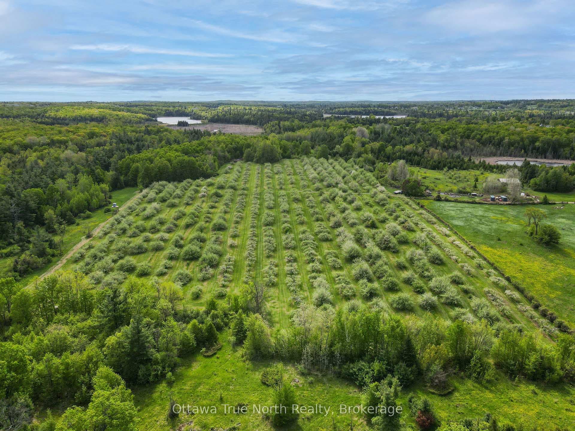 3376 Burnstown Road photo 42