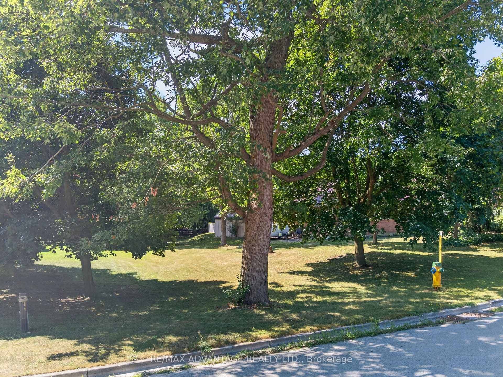 8 Willard Crescent photo 33