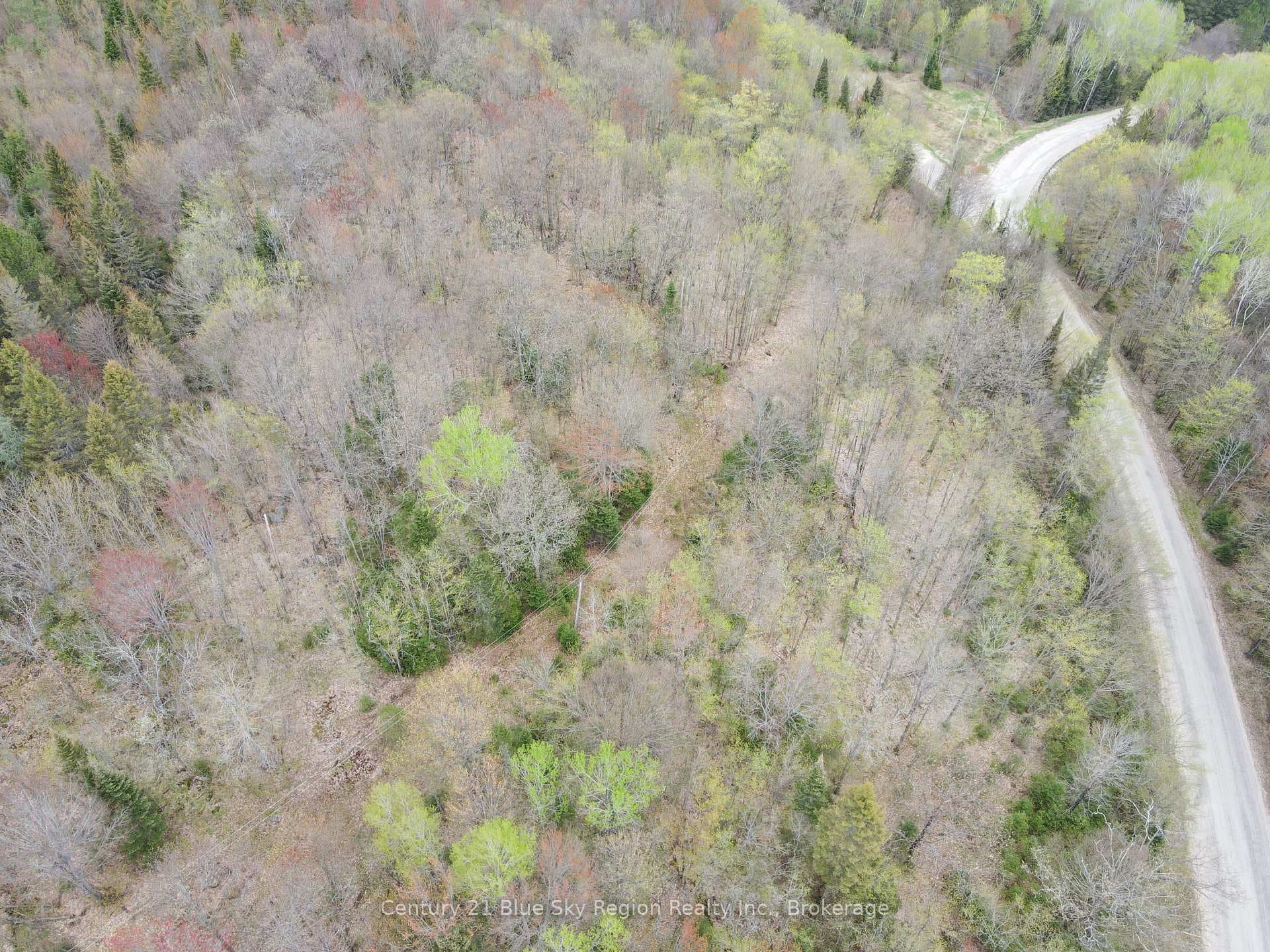 Lot 8 Lindsay Hill Road photo 7