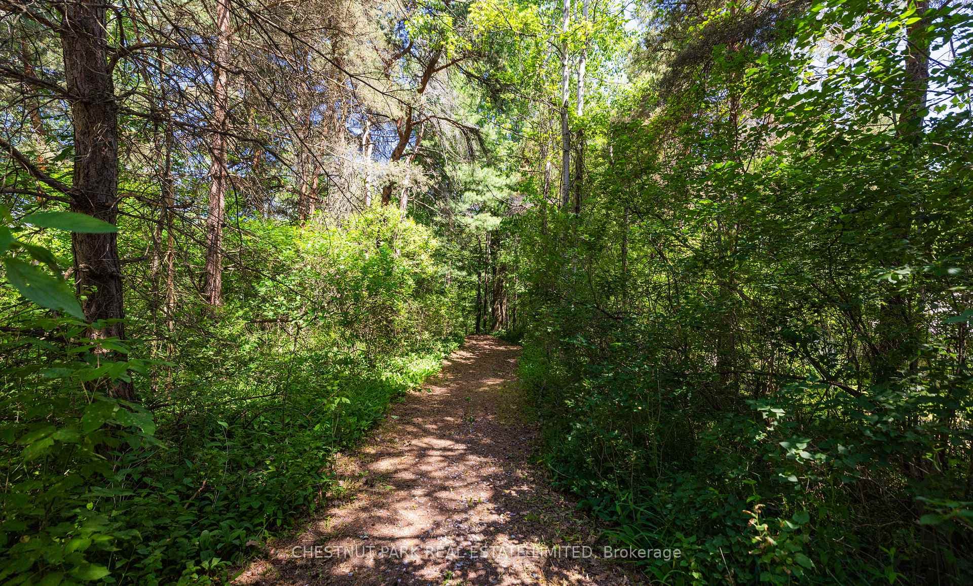 90 Ridge Road photo 39