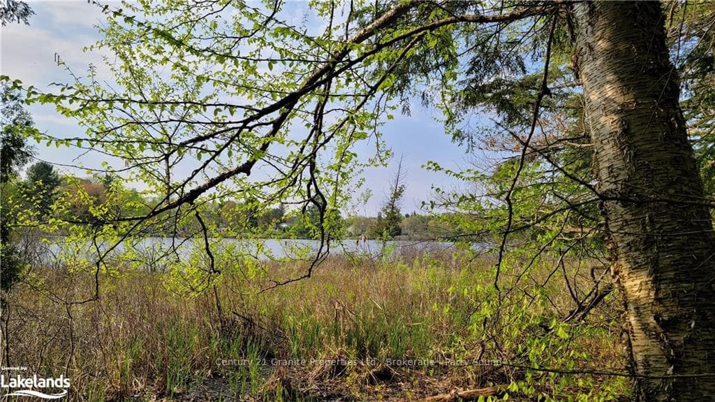 LOT4 SEGUIN RIVER ESTATES LOUISA Street photo 1