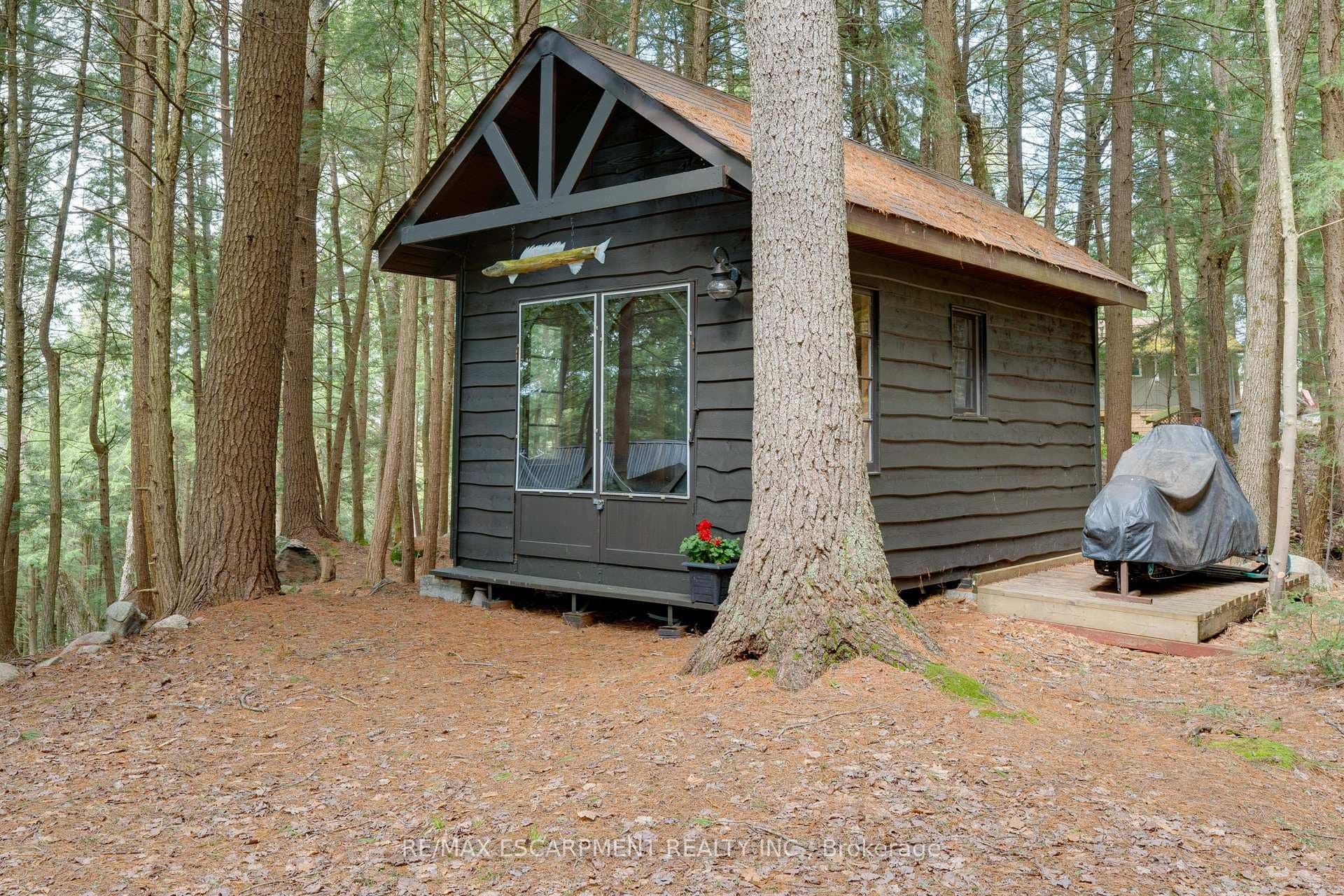 Bunkie