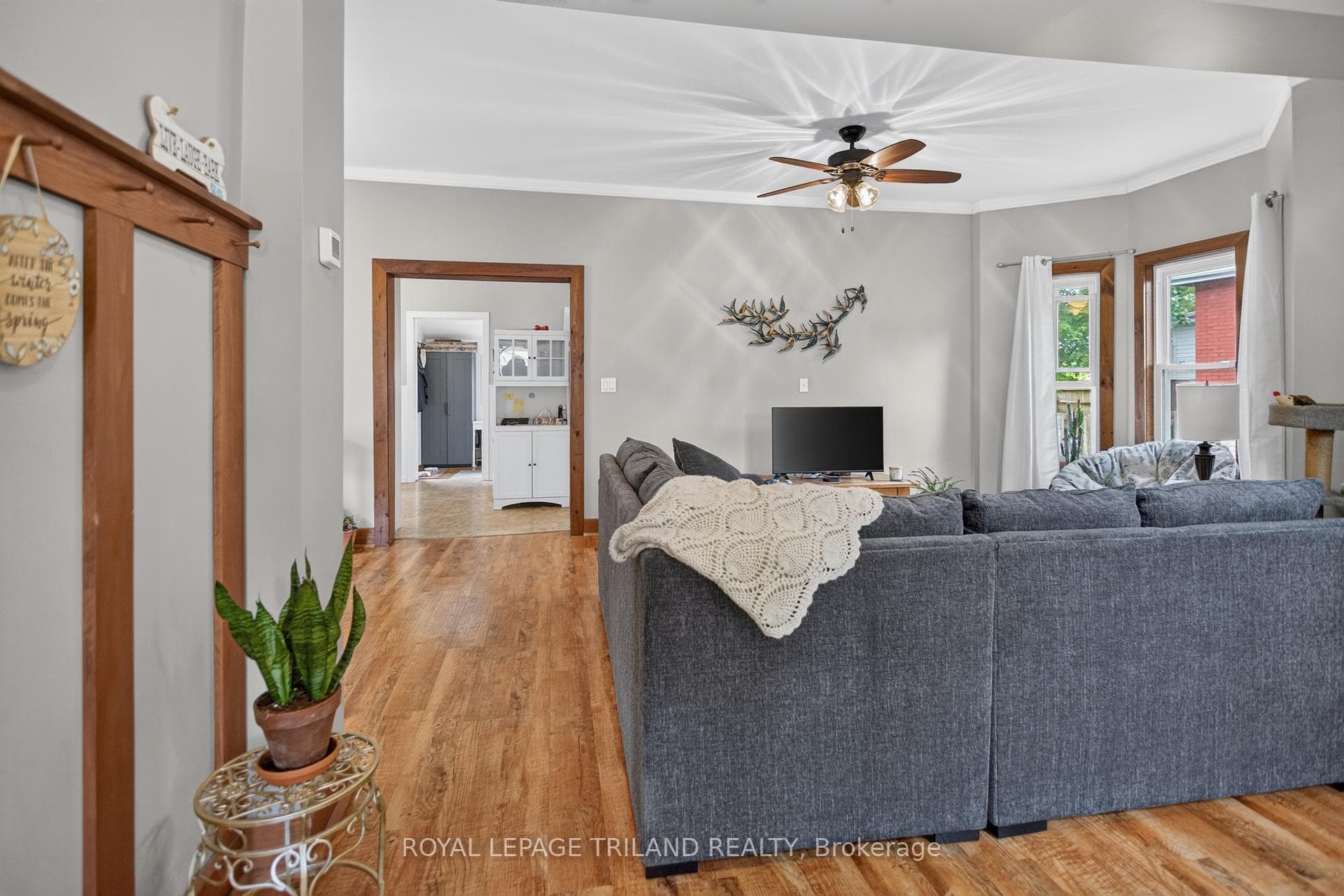 87 Chestnut Street photo 7