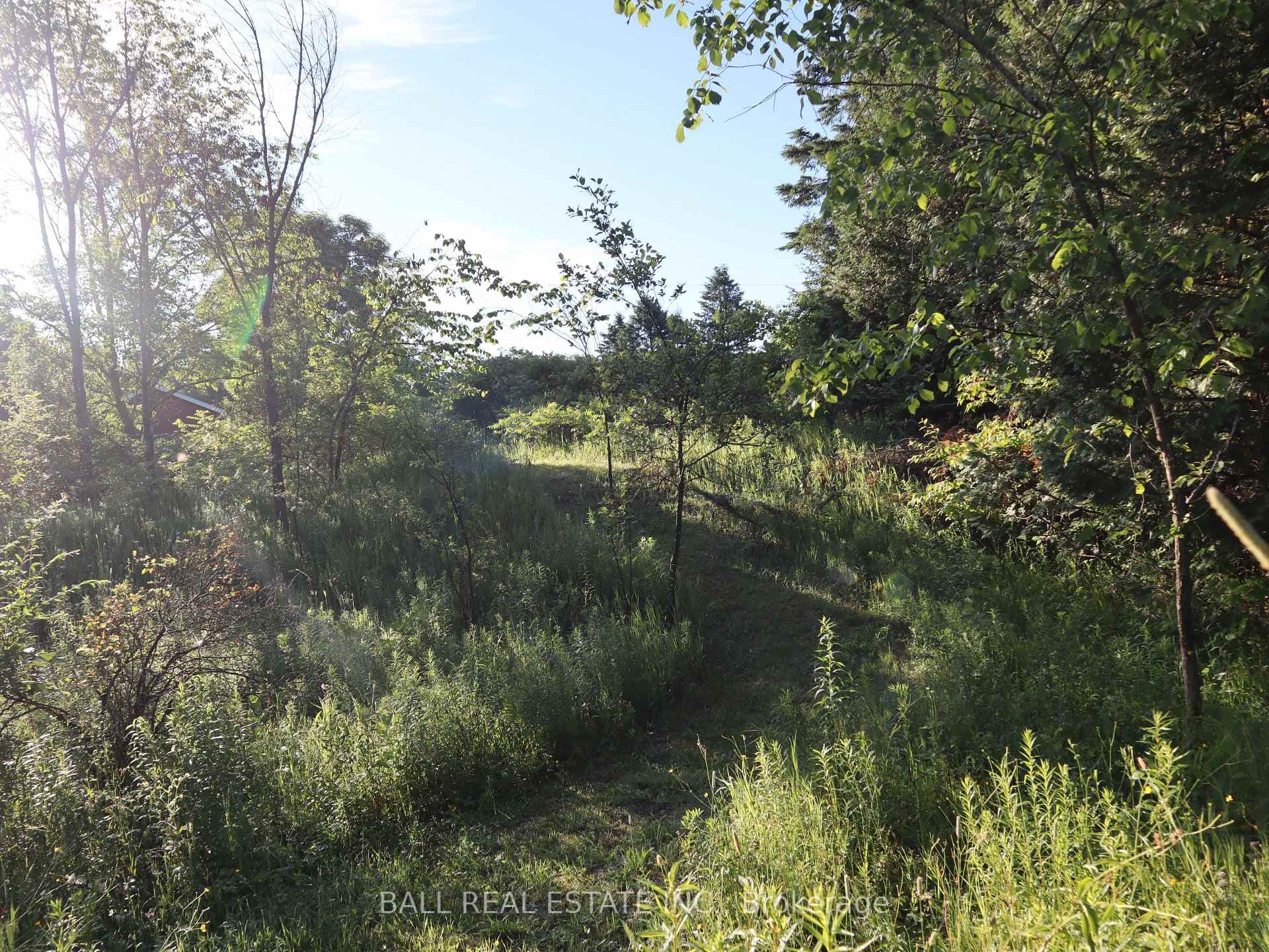 85 Treeview Line photo 28