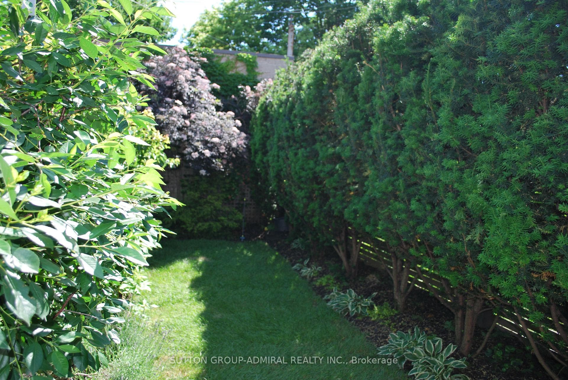 Yard