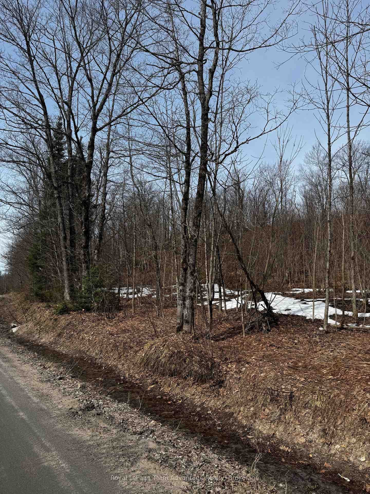 Lot 2 Lorimer Lake Road photo 5