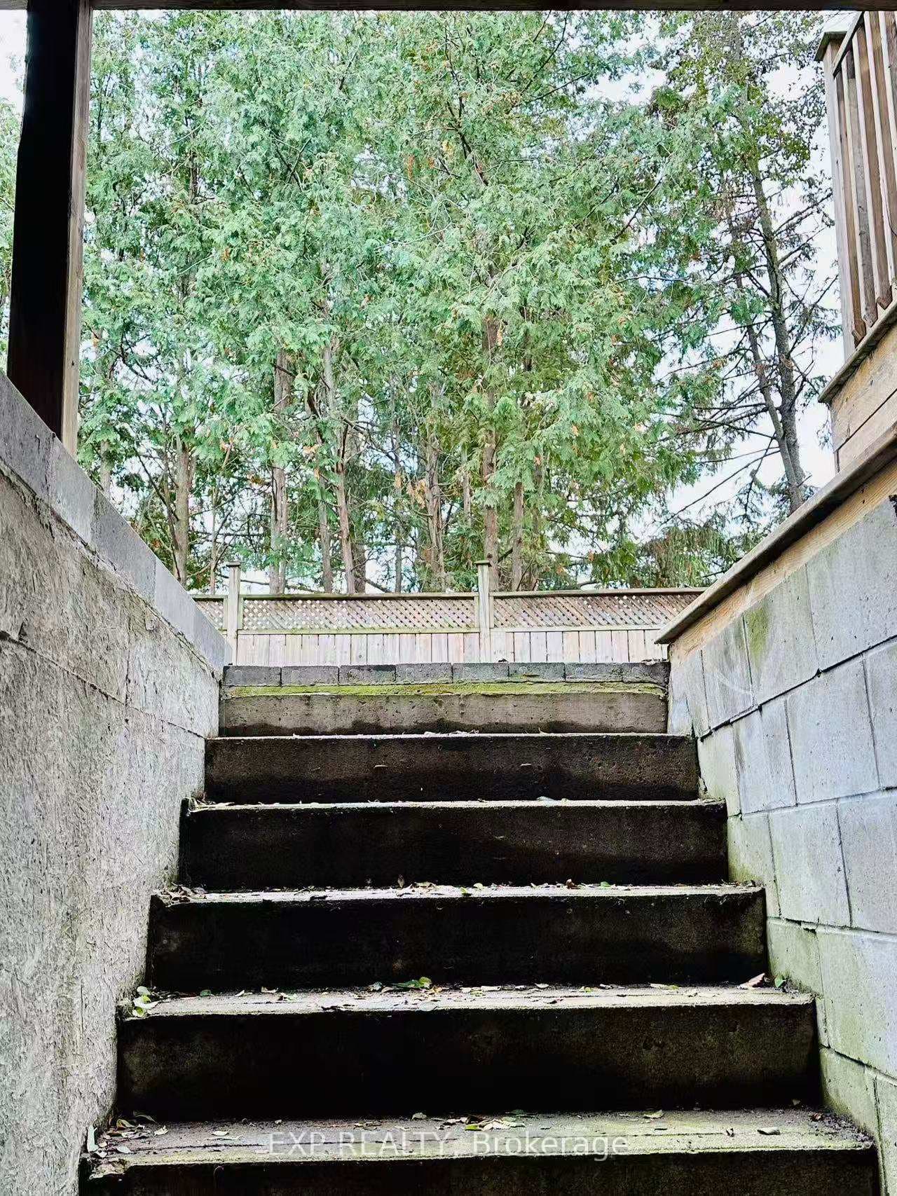 57 Emeline Crescent photo 11
