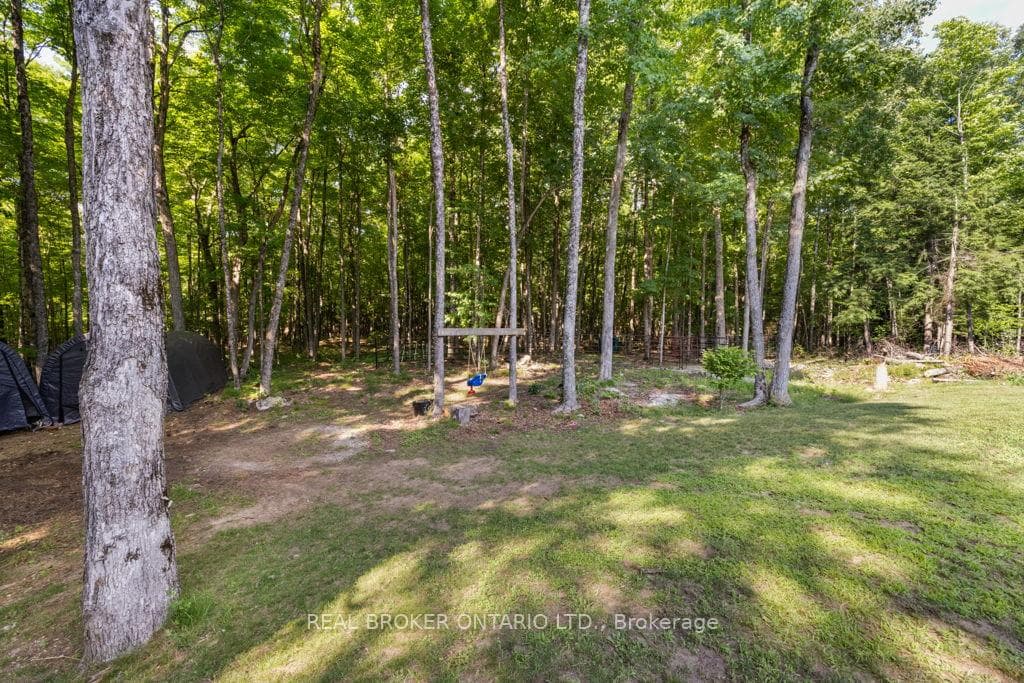 804 Darling Road photo 40