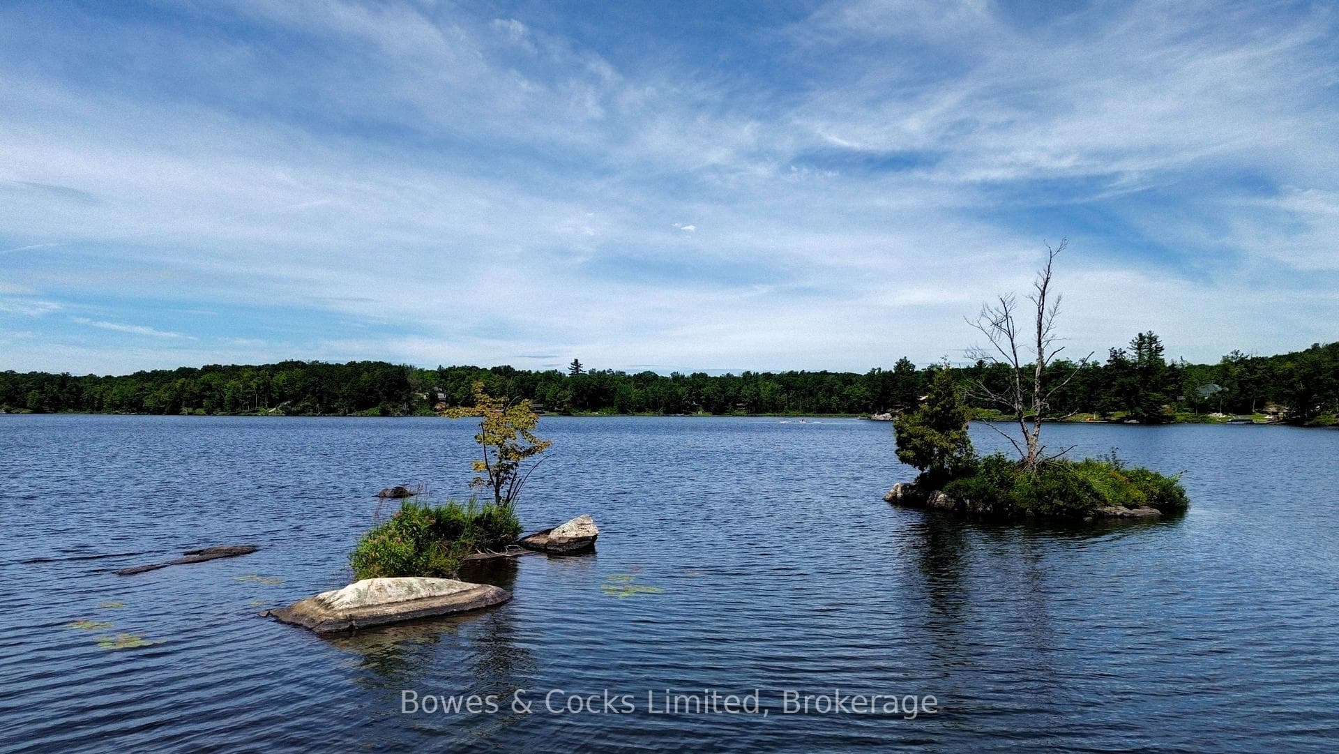 38 Twin Shore Lane photo 9