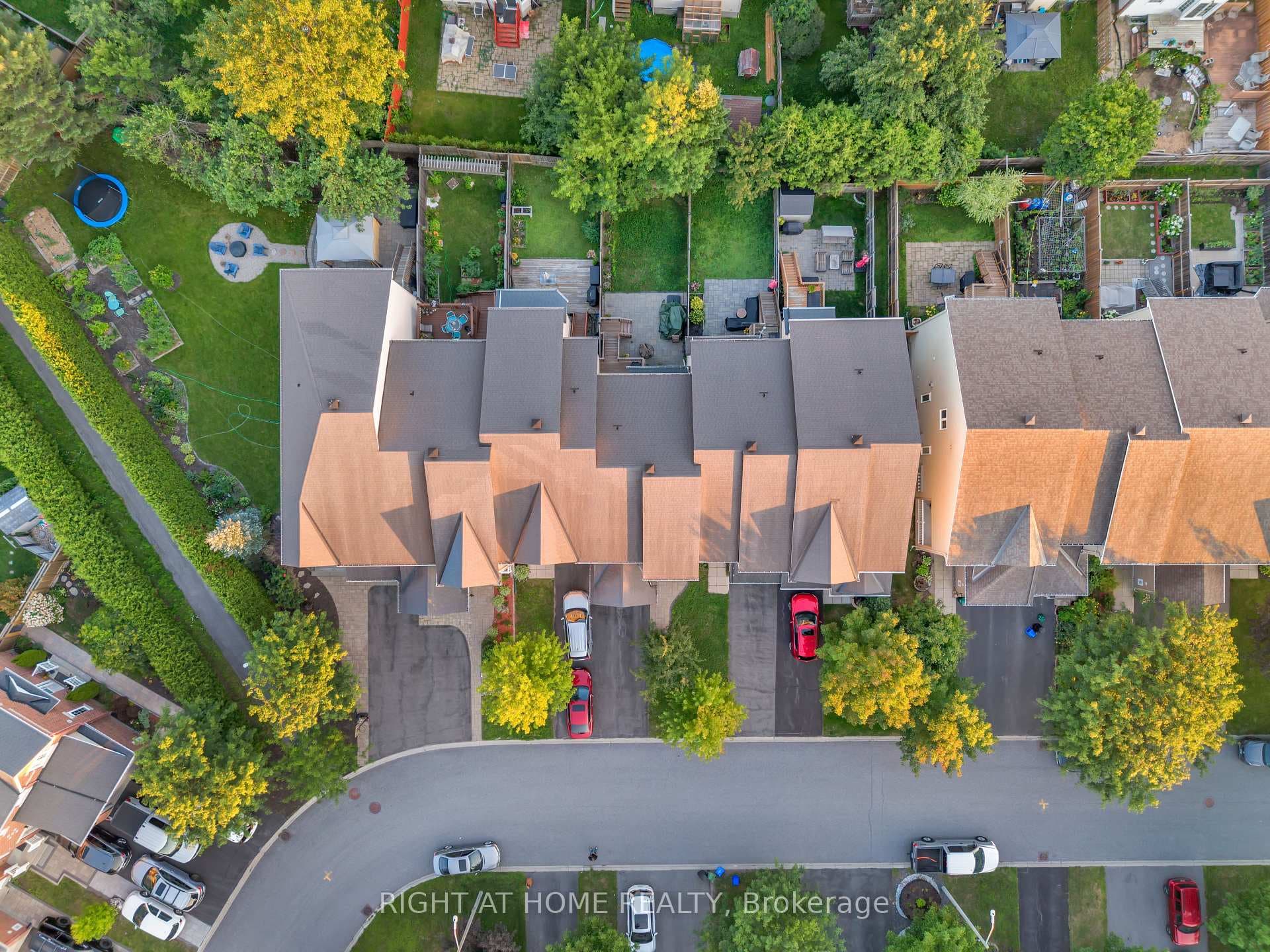 Arial View