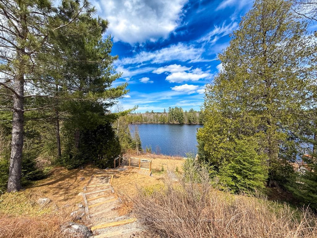 93 White Pine Road photo 20
