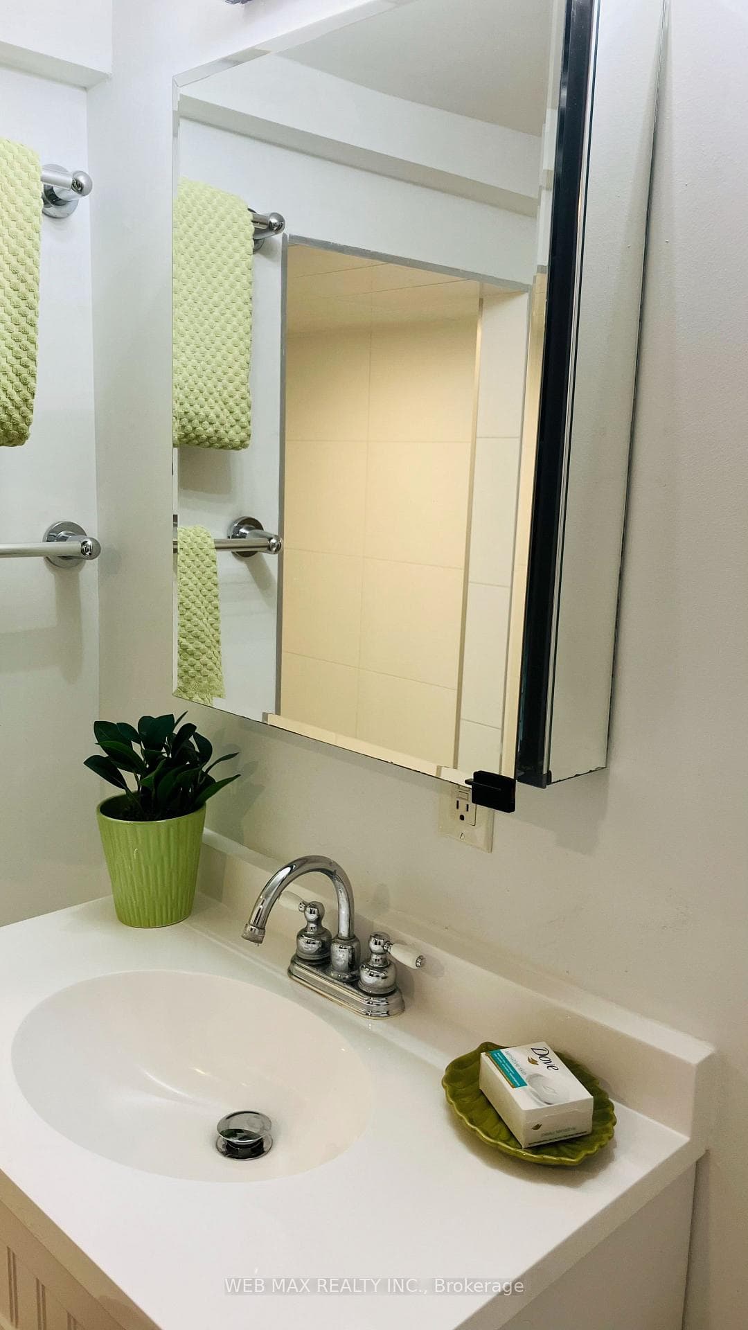 Spacious Medicine Cabinet with Mirror