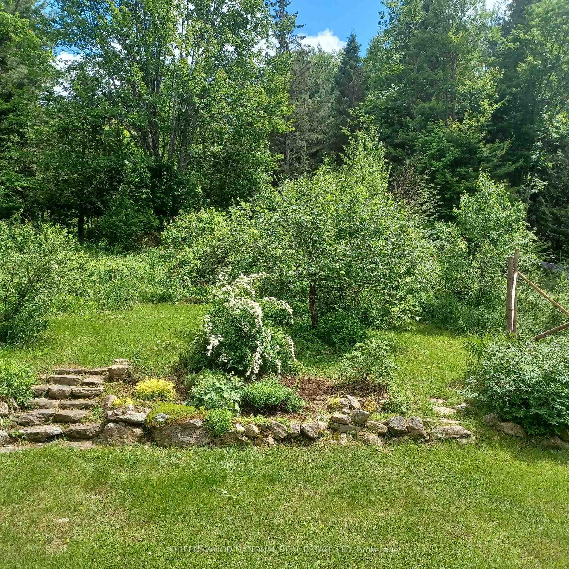 3869 Mountain View Road photo 5