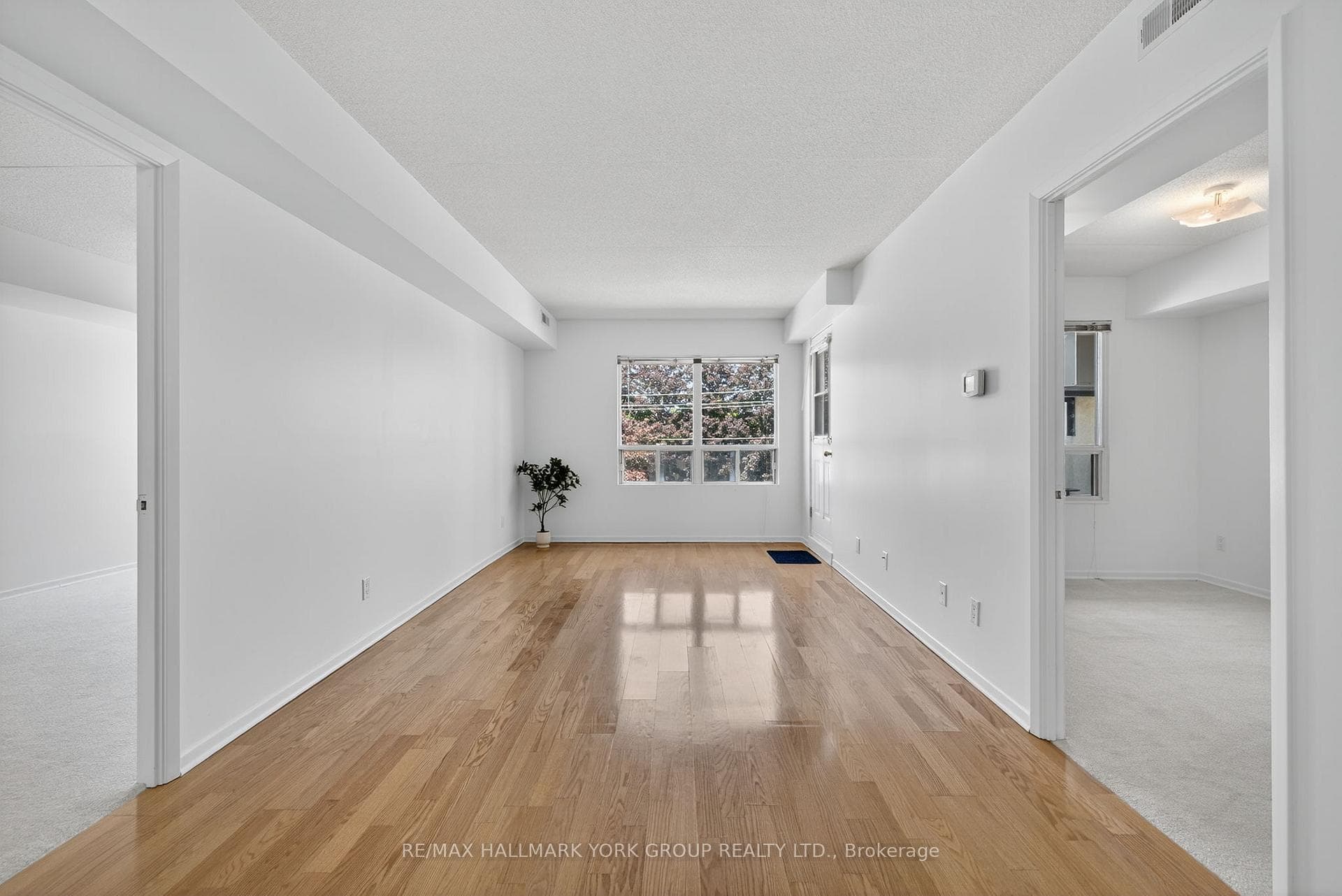 NEW Hard wood floors!