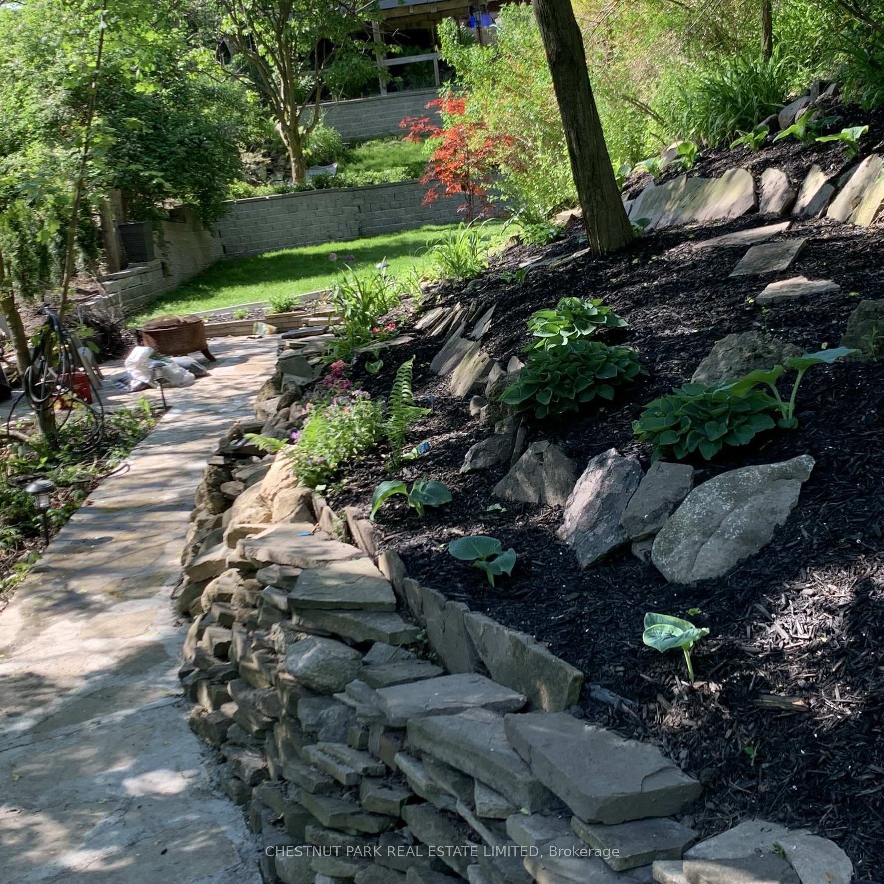Summer Backyard Landscaping