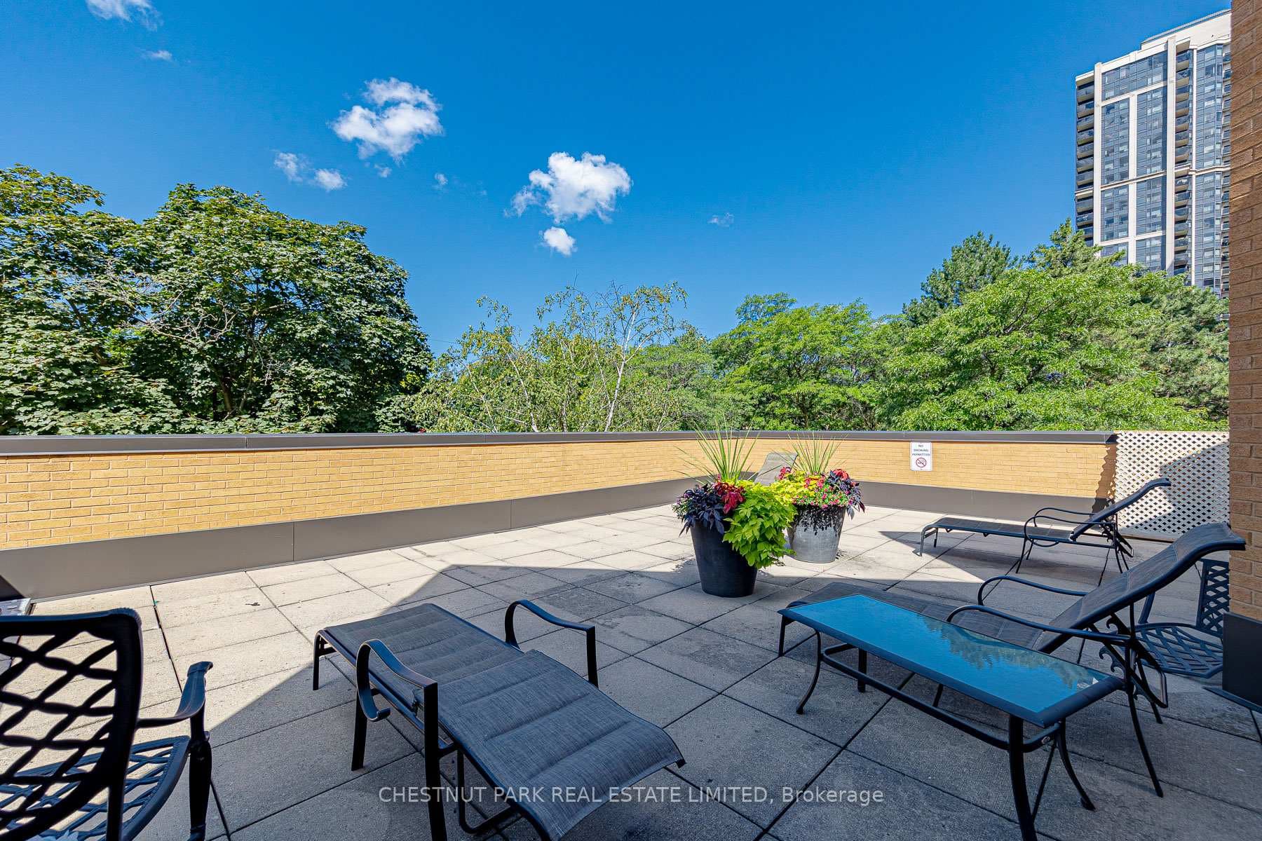 131 Beecroft Road Unit 1107 photo 36