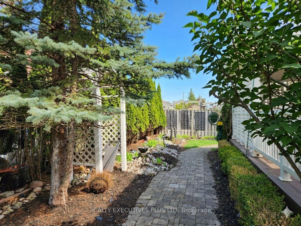 Low Maintenance Landscaped Yard