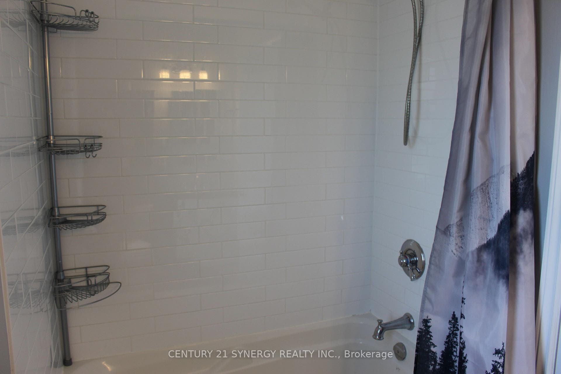 241 Wilfred Crescent photo 14