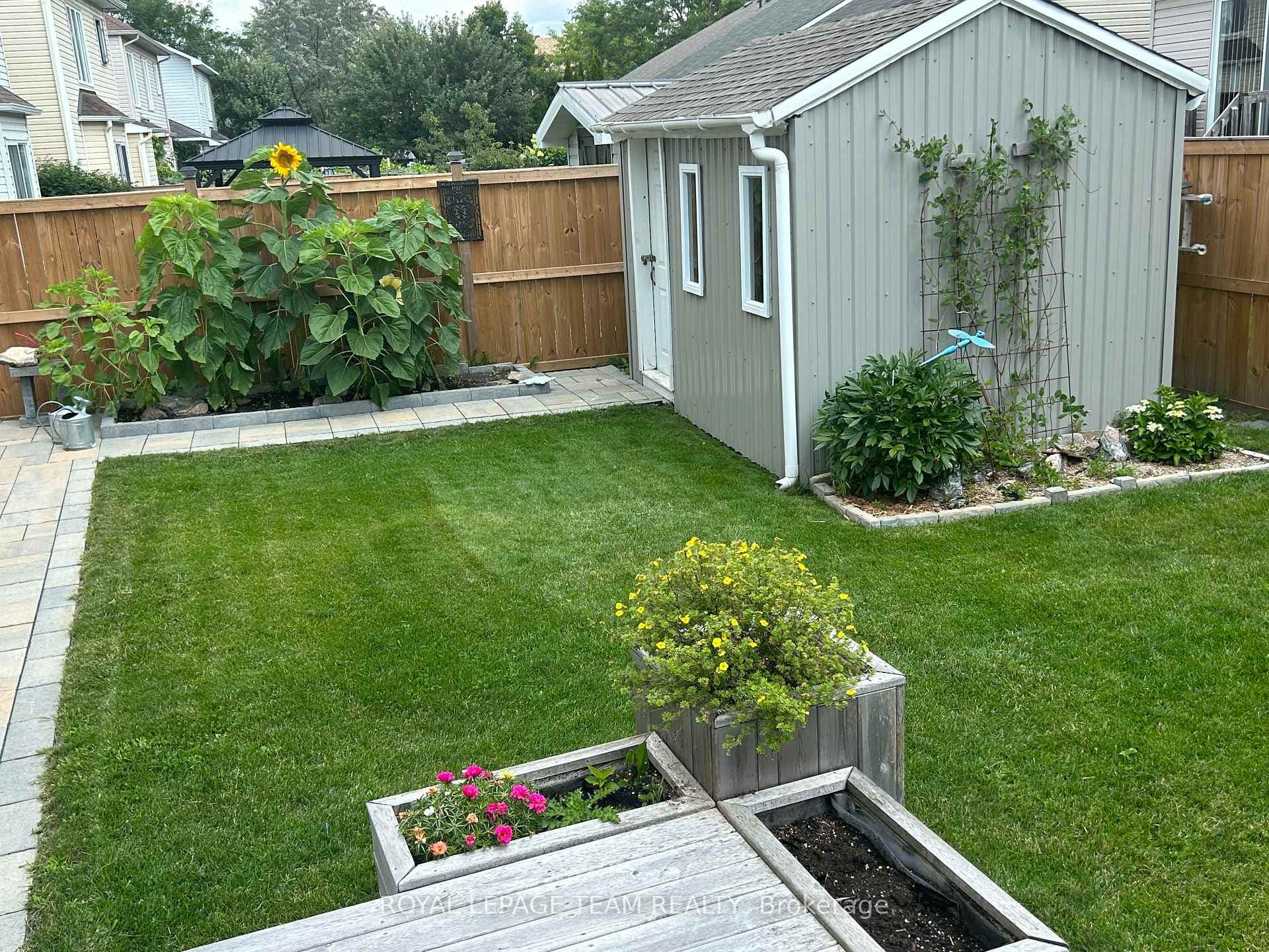 Summer backyard view of the perenial gardens.