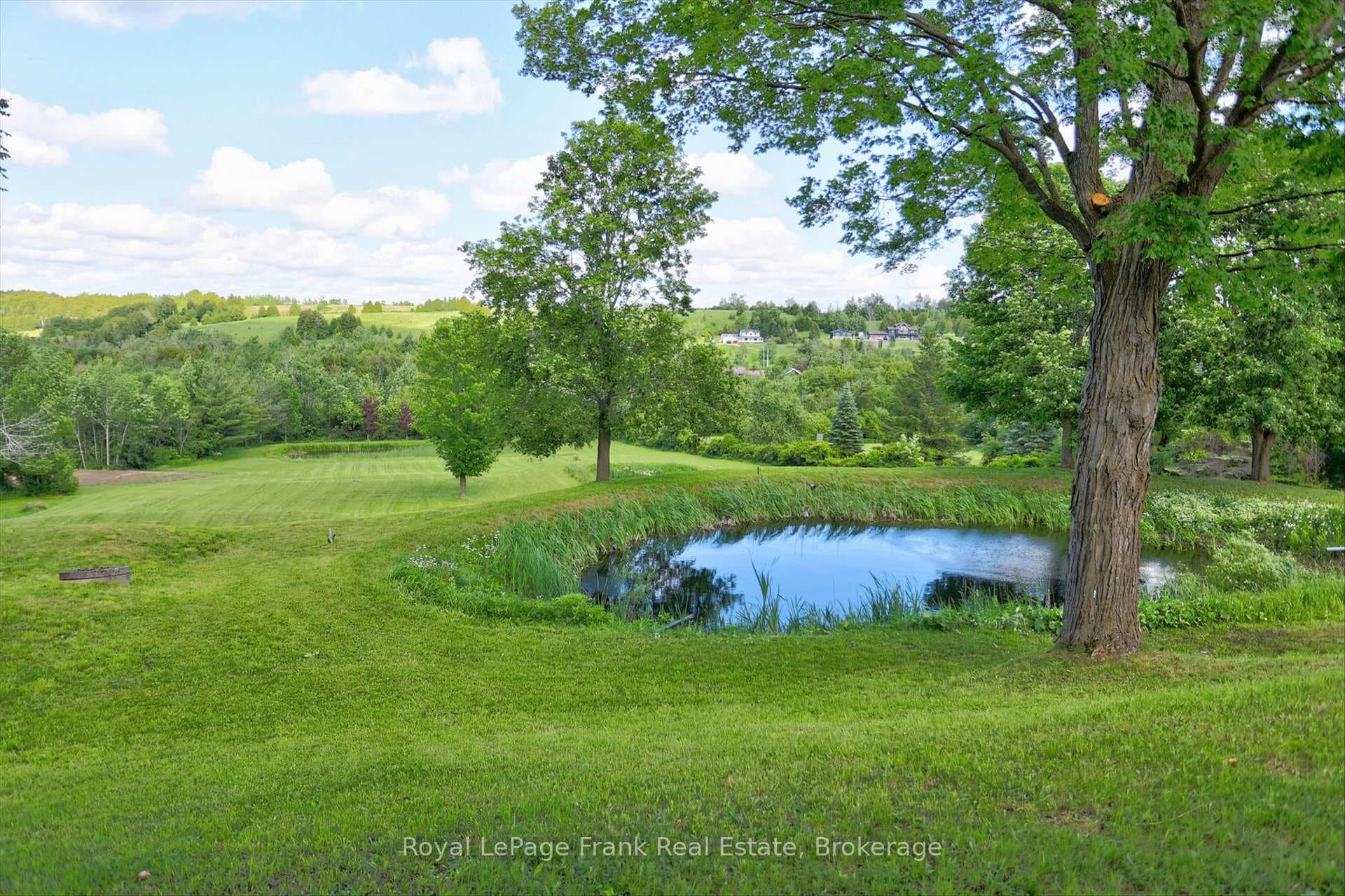 138 Emily Park Road photo 32