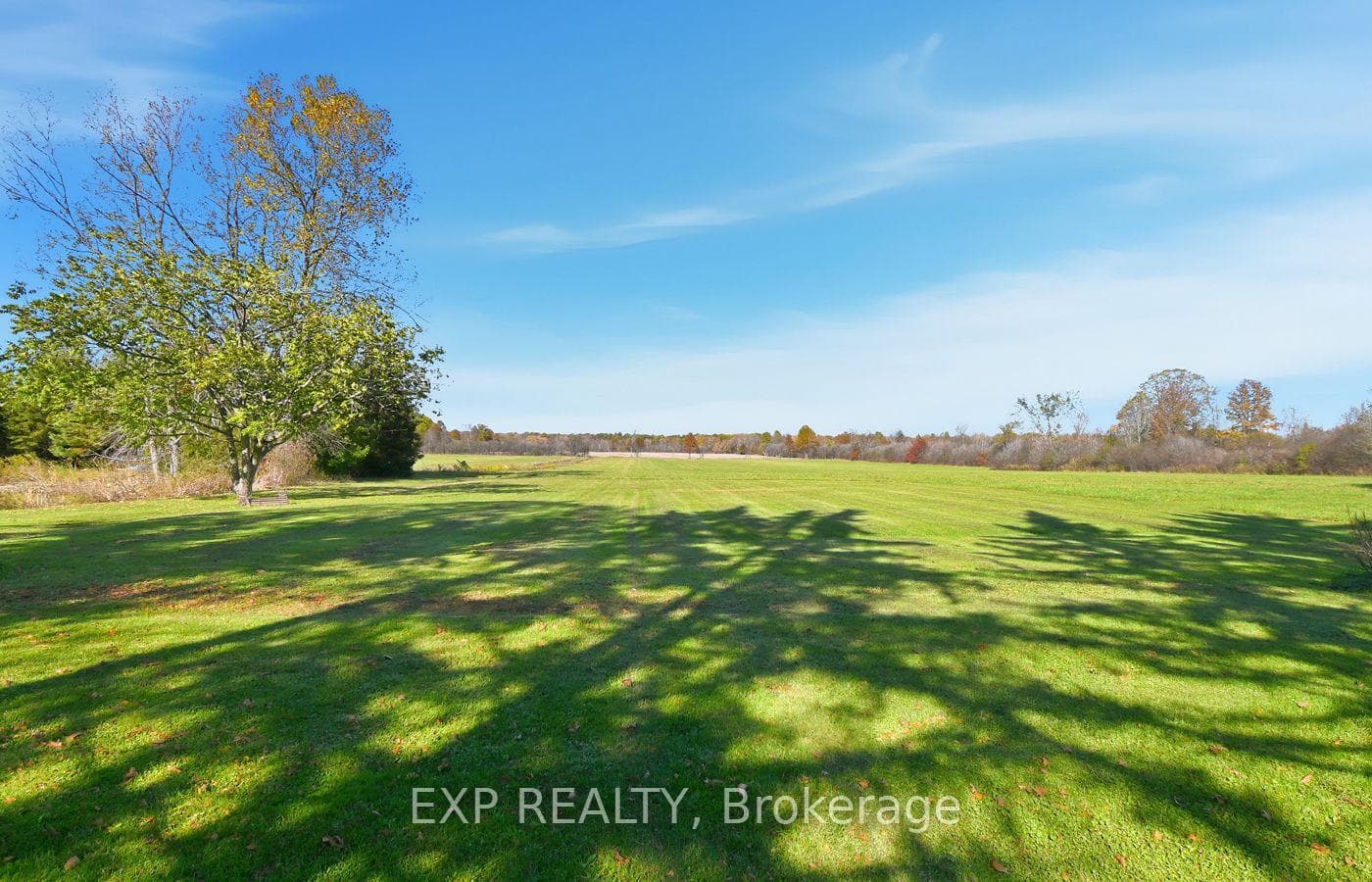 9043 Ridge Road photo 42