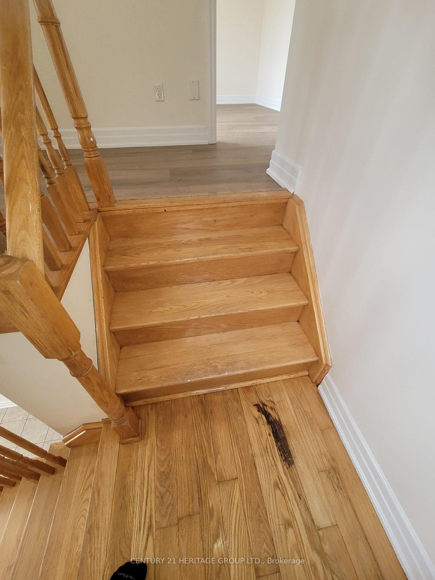12 Bardawill Avenue photo 2