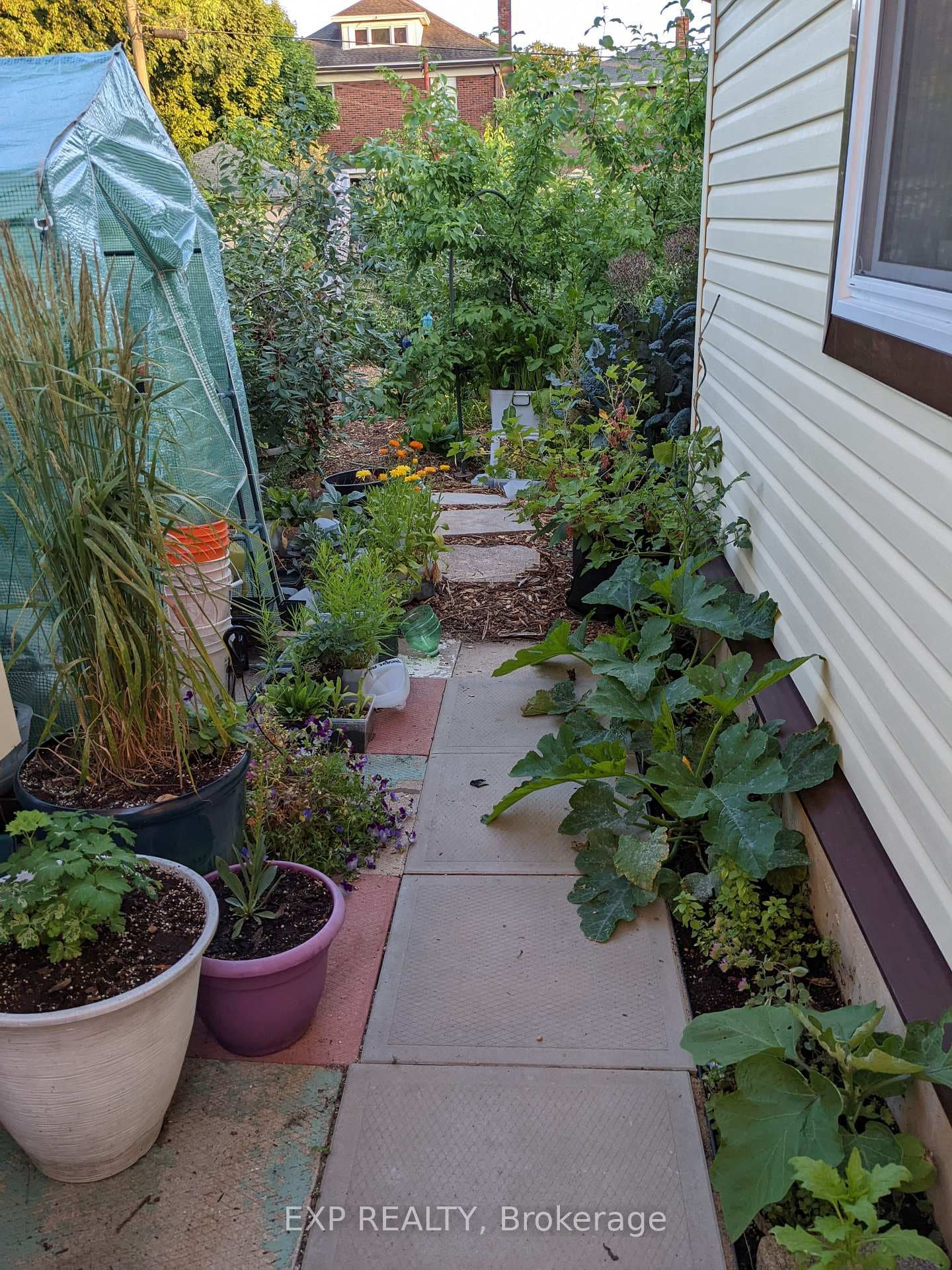 walkway to back yard