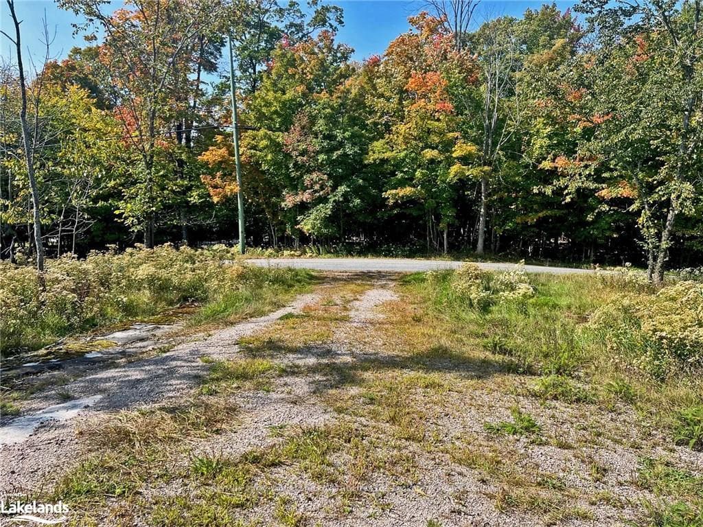 Year round municipal road access; hydro nearby!