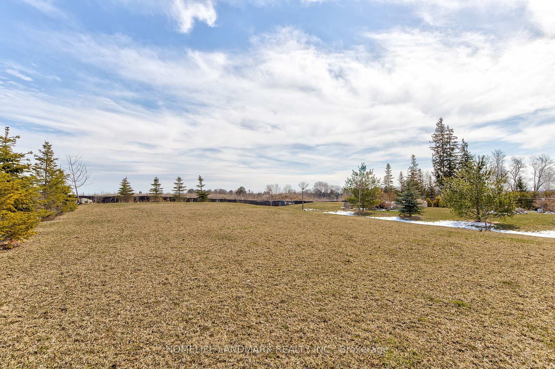 295 Sunnybrae Avenue photo 4