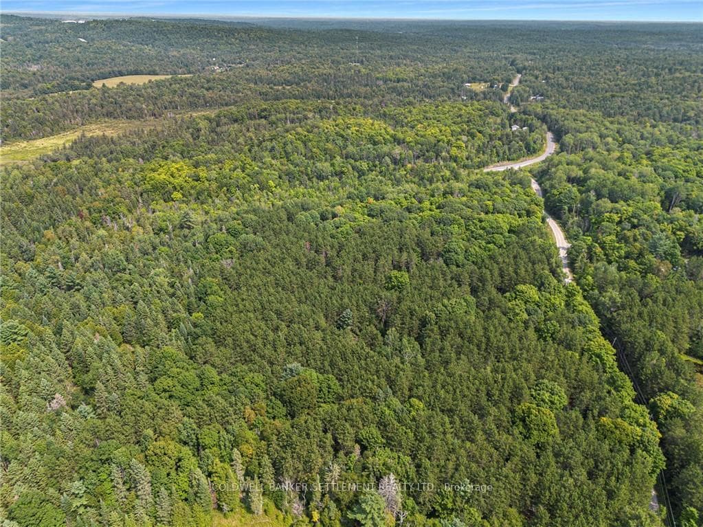 0 WADDLE CREEK Road photo 26