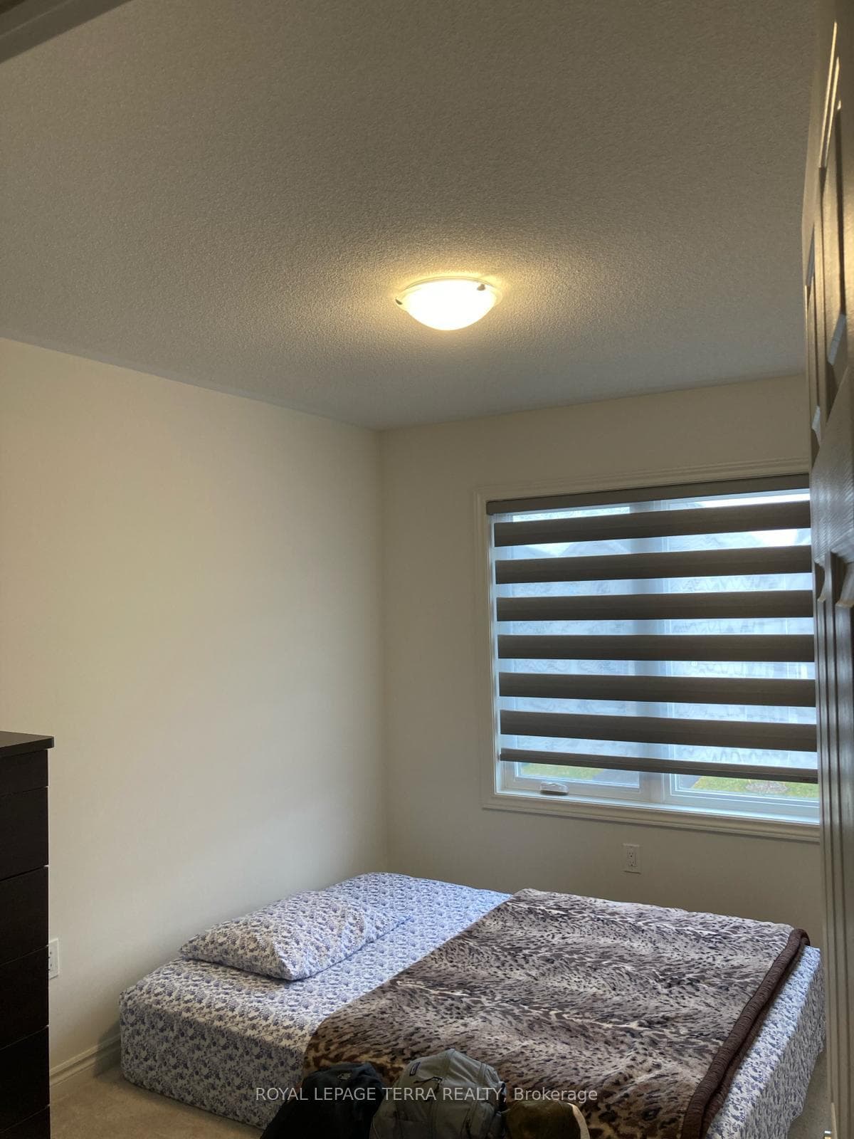 42 Dass Drive photo 18