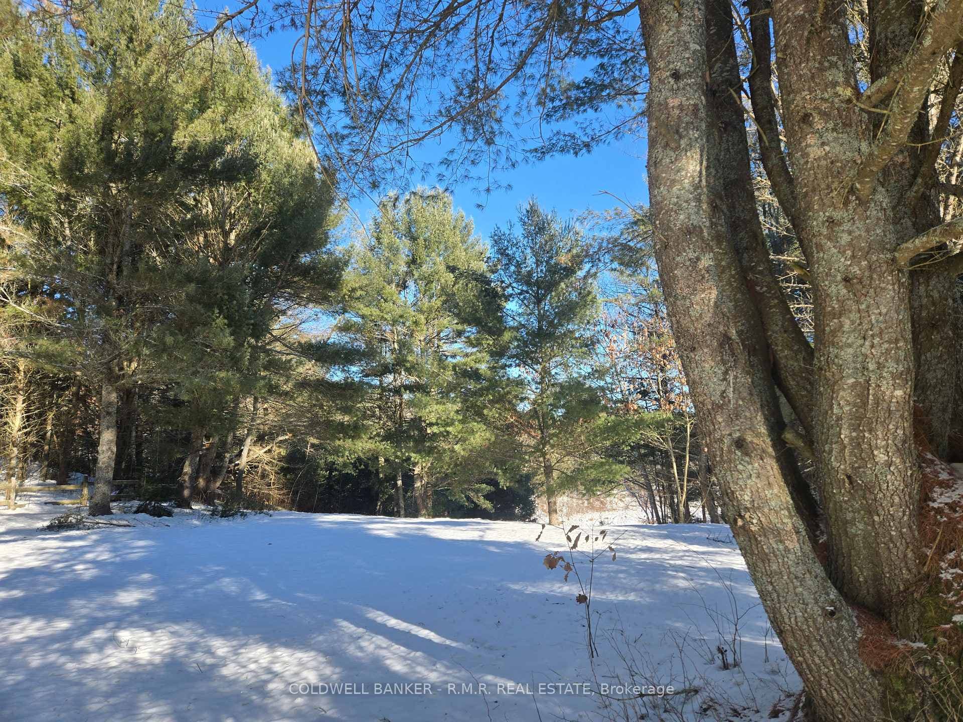 1371 Howland Junction Road photo 27