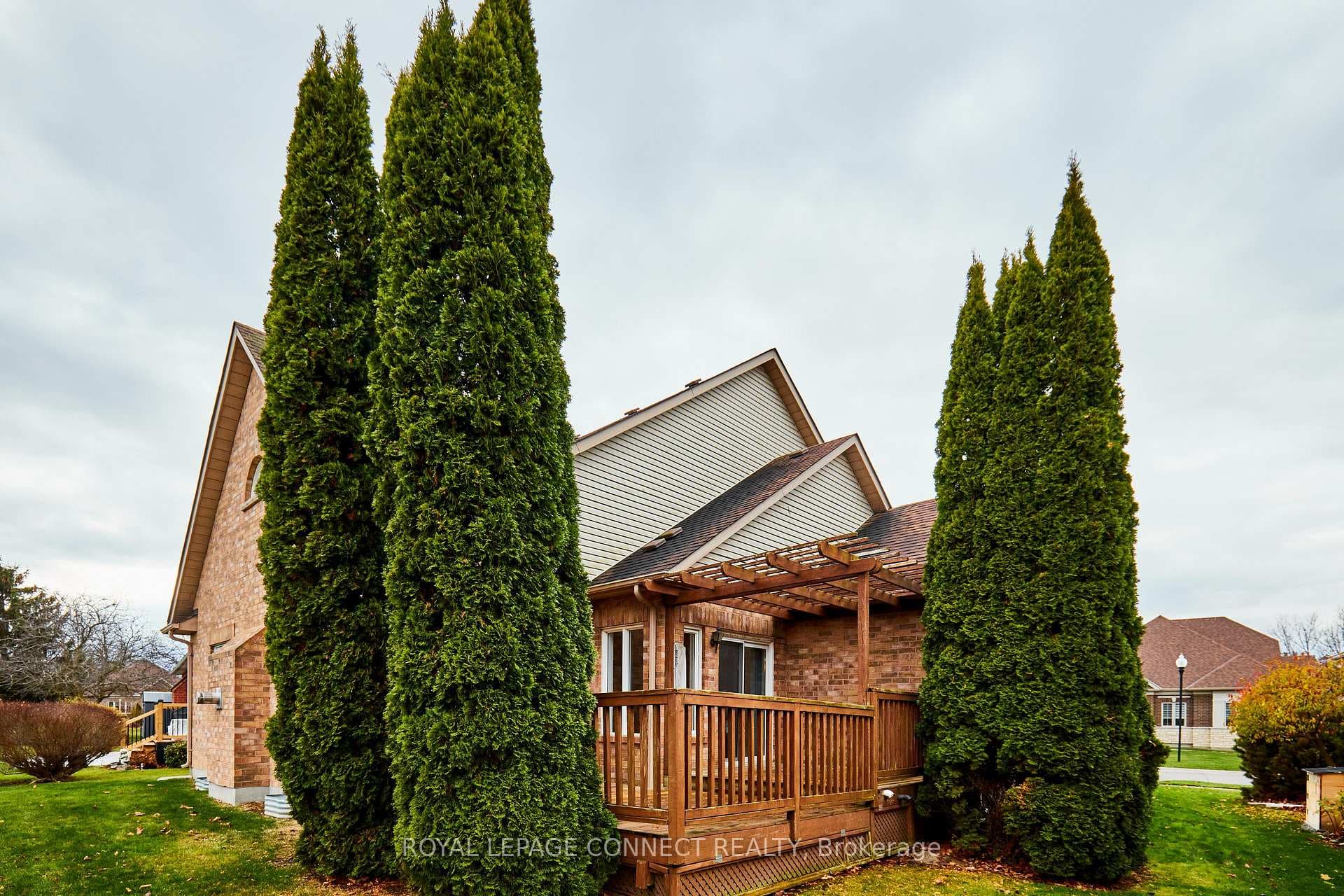 Soaring Cedar Trees Surround Deck off Kitchen