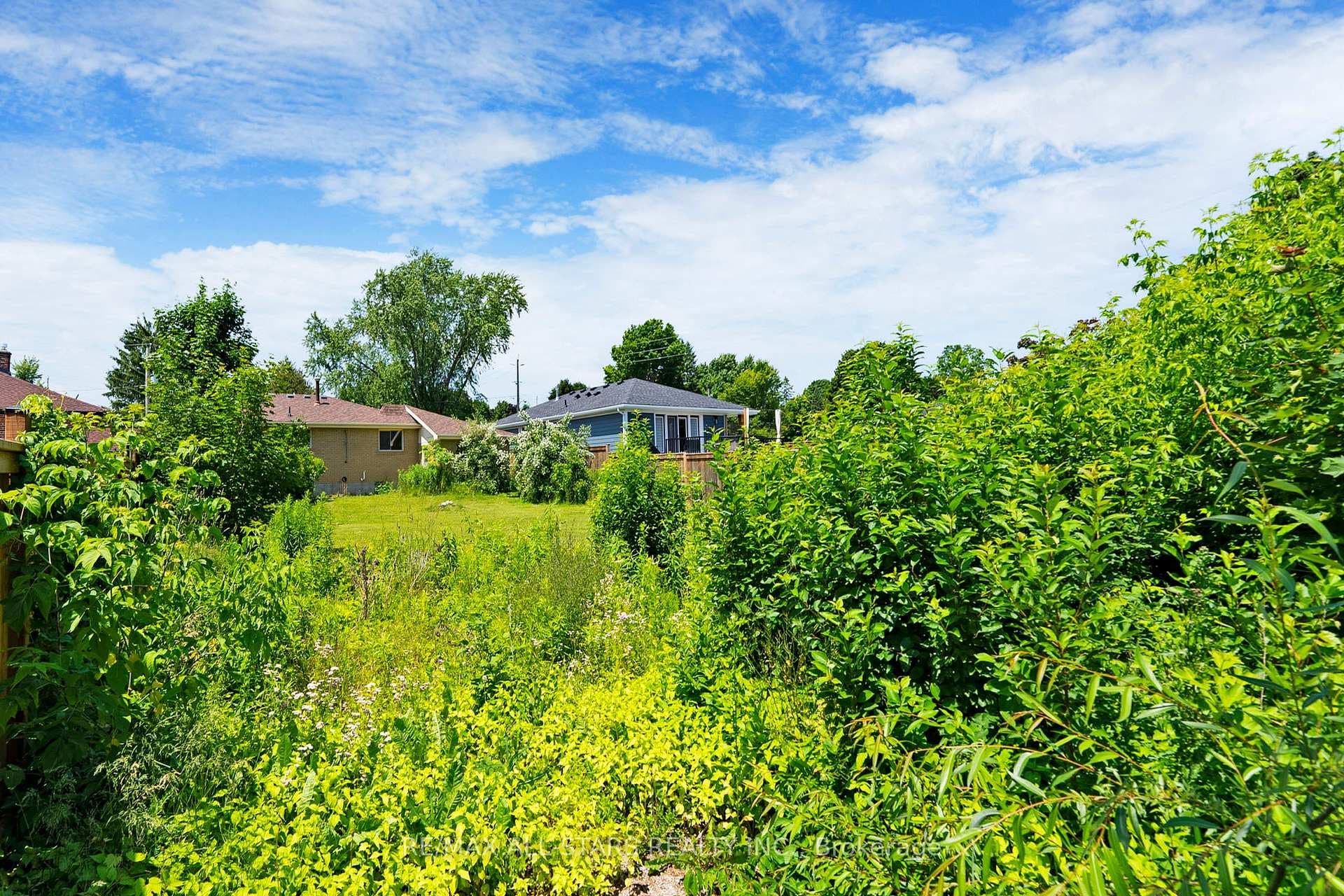 33 Beech Street photo 21