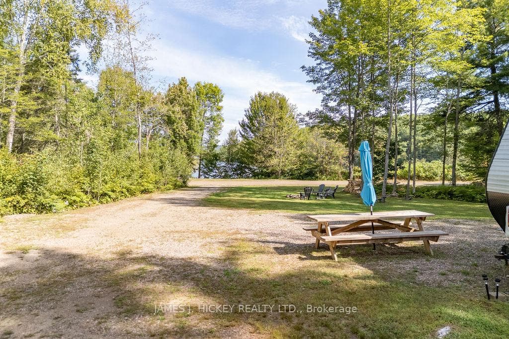 123 Harvey Creek Road photo 3