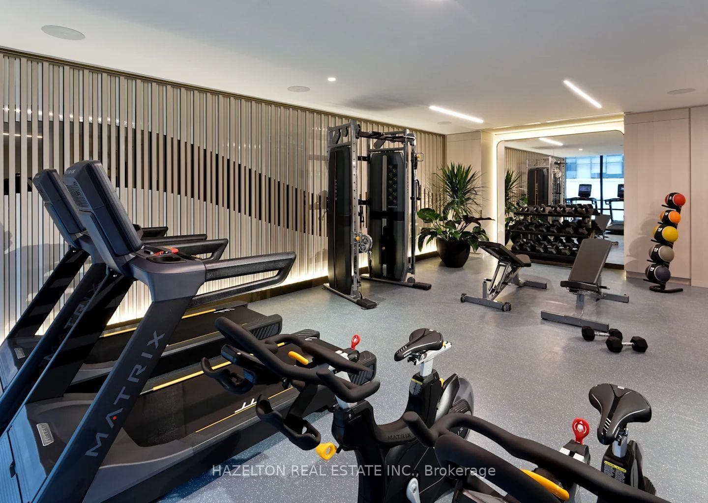 Fitness Area