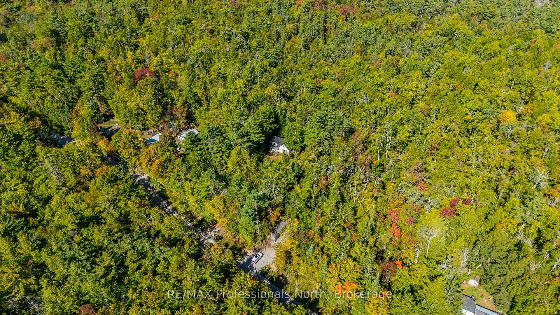 319 Boundary Road photo 26