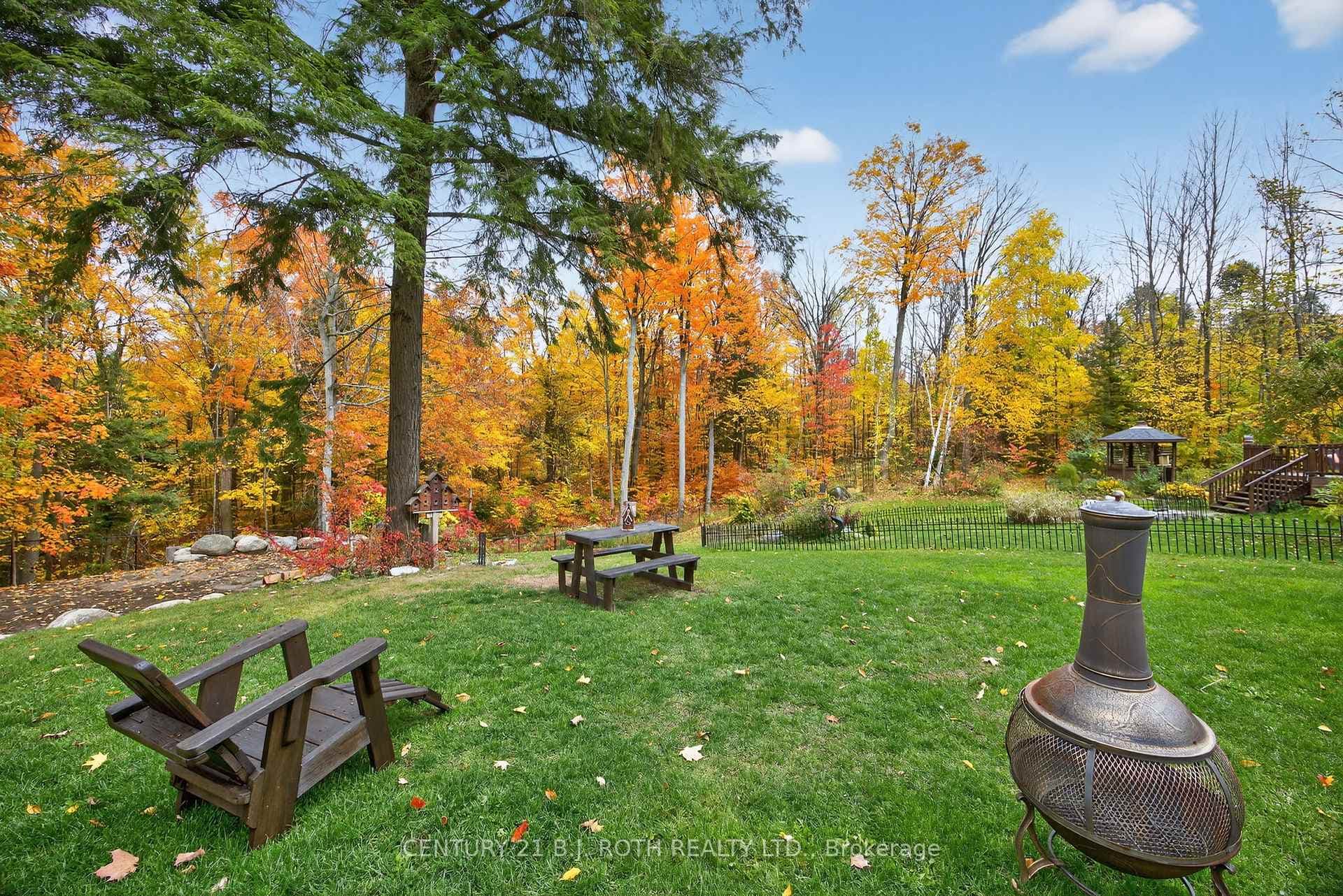 Portion of rear yard
