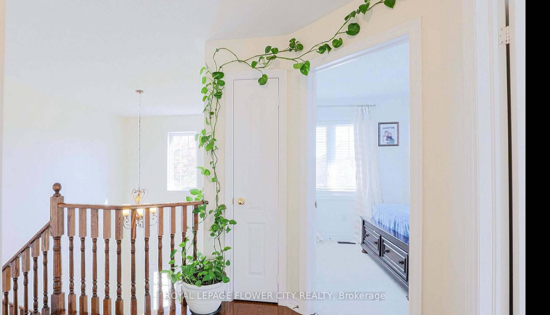 24 Mellowood Avenue photo 9