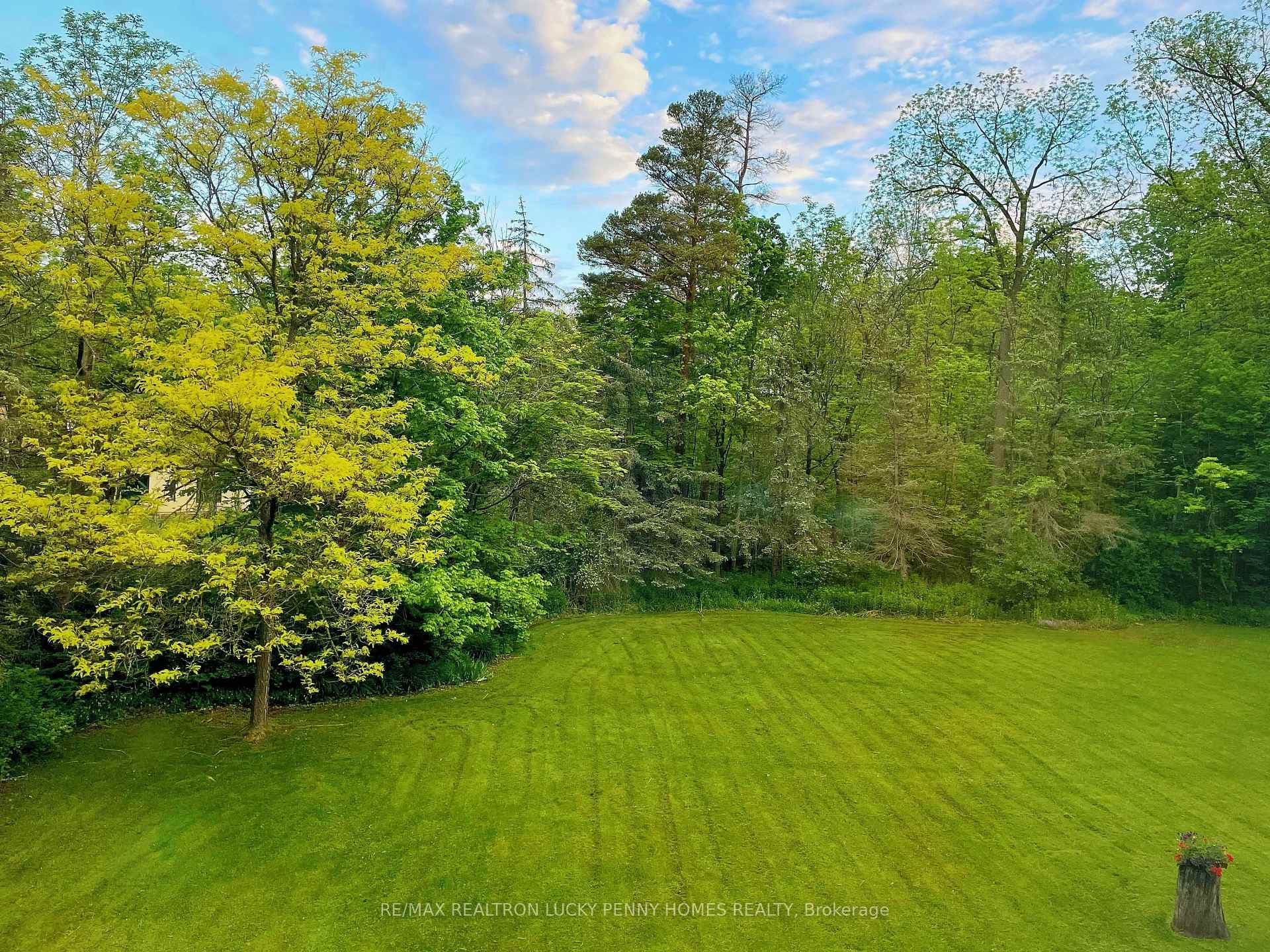 18 Walnut Glen Place photo 48