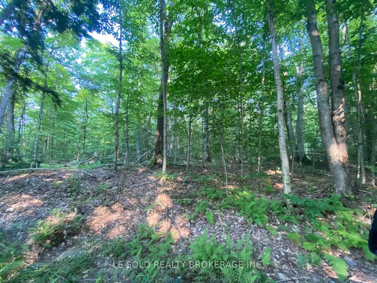 1310 Camel Lake Road Unit Lot # 7 photo 1