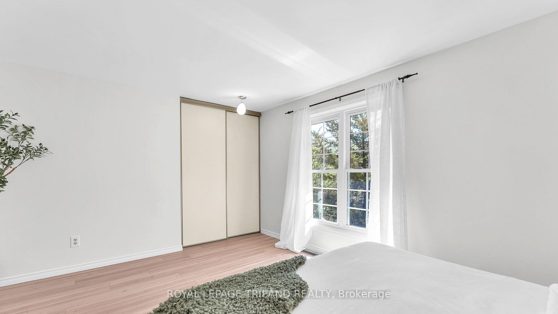 113 Monmore Road photo 29