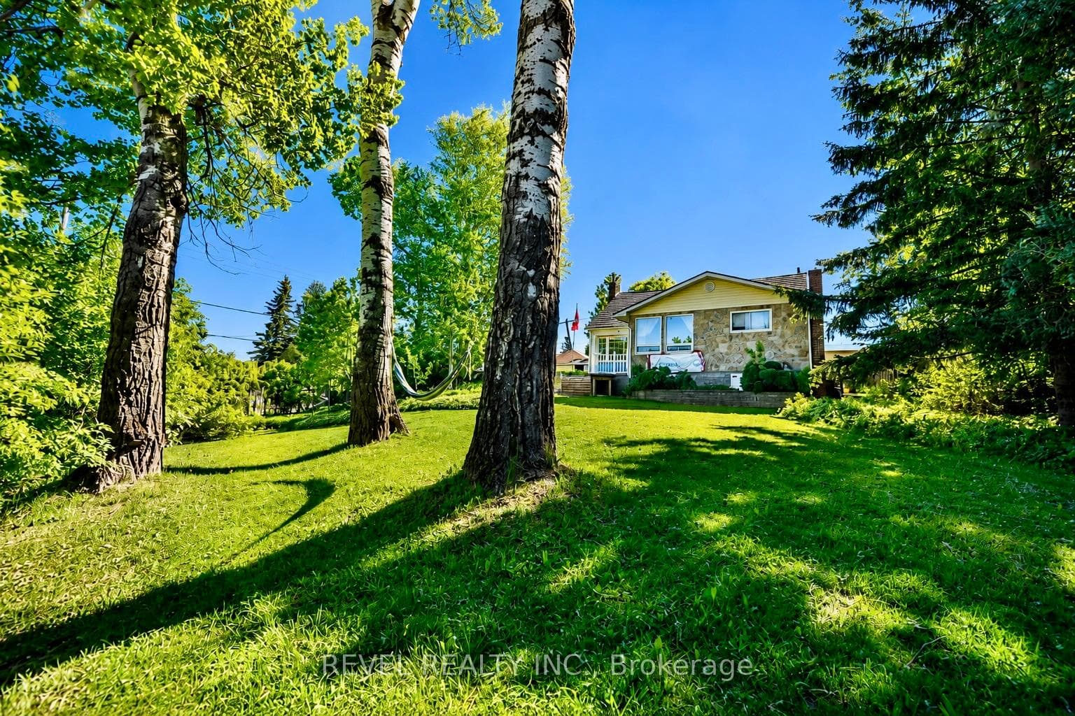 203 Dixon Street photo 1