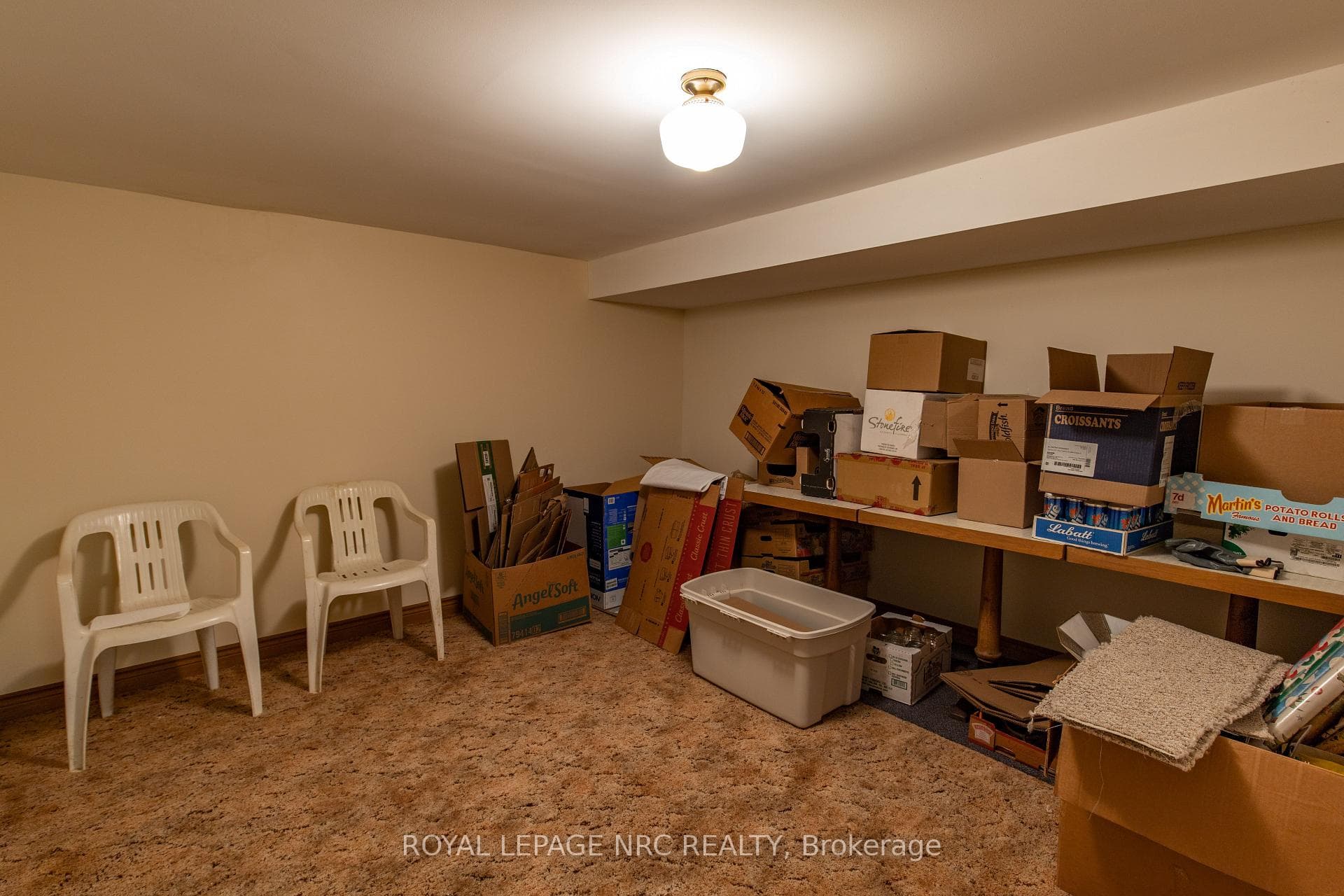 Storage or den lower level