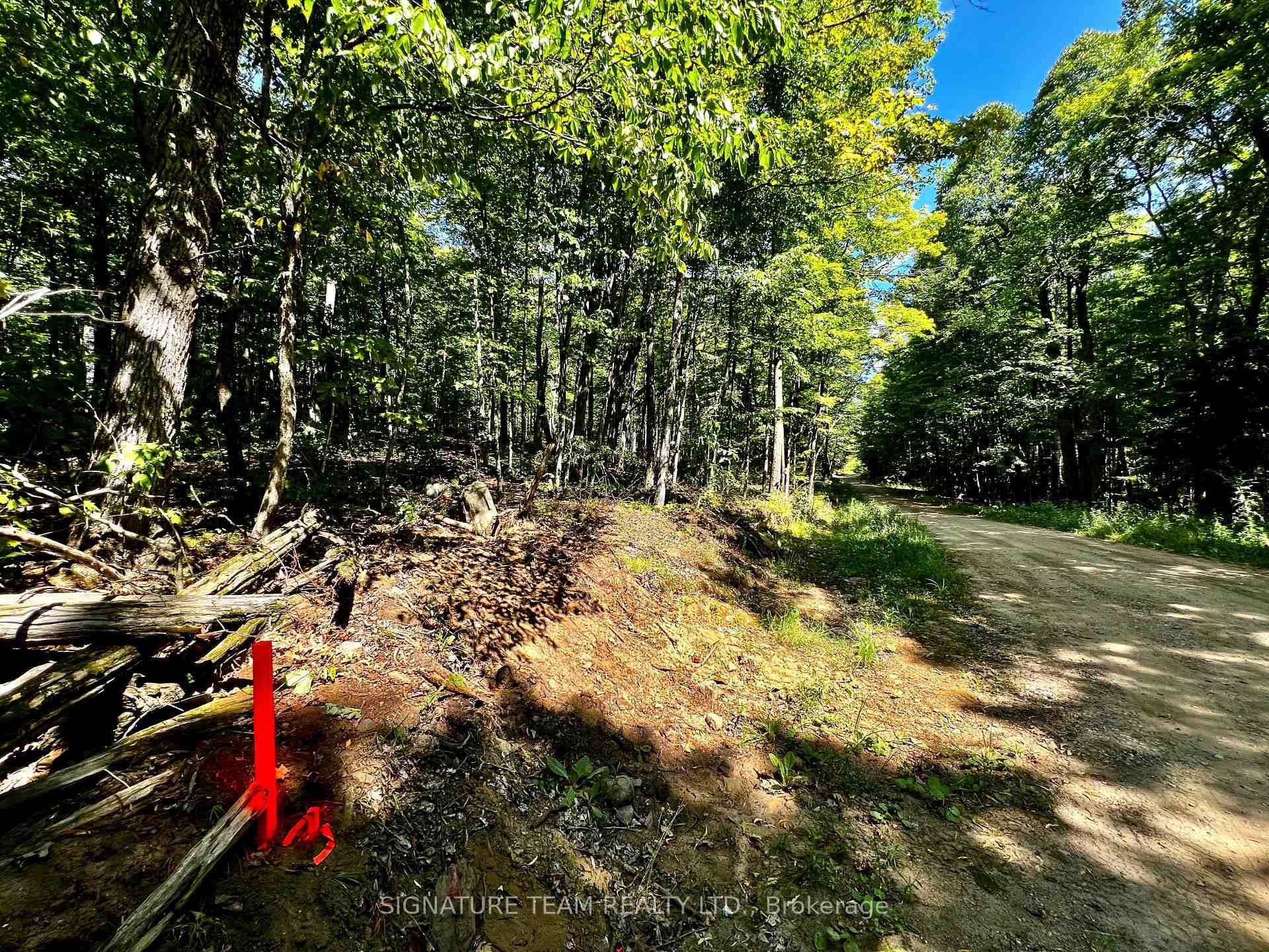 0 Nordic Lane photo 33