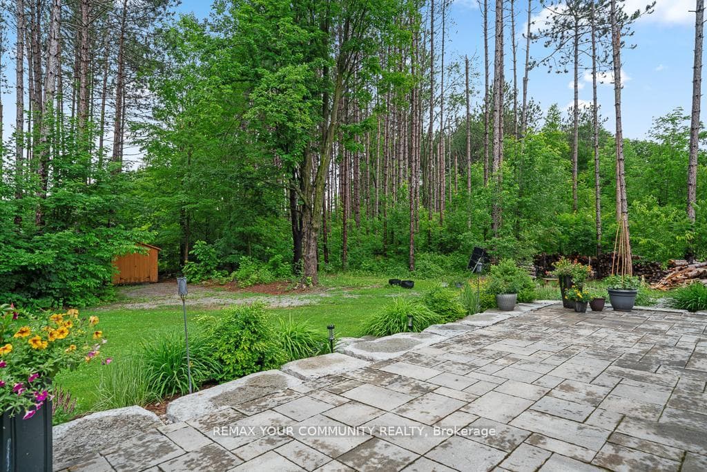 38 Windermere Circle photo 49